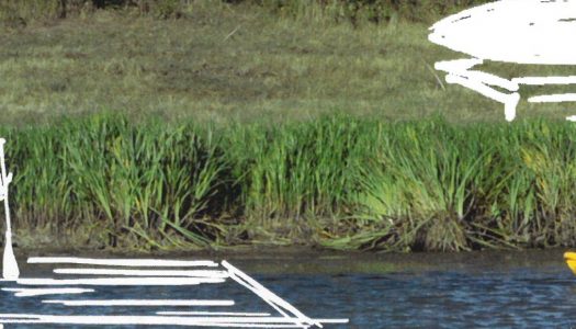 Inventons le tourisme durable