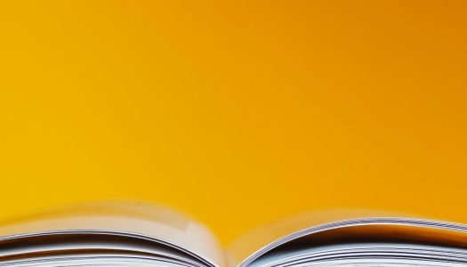 Coups de coeur lecture – La Pelote de livres