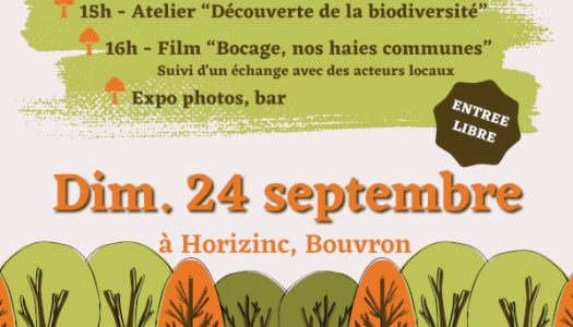 Ciné Débat – ABC