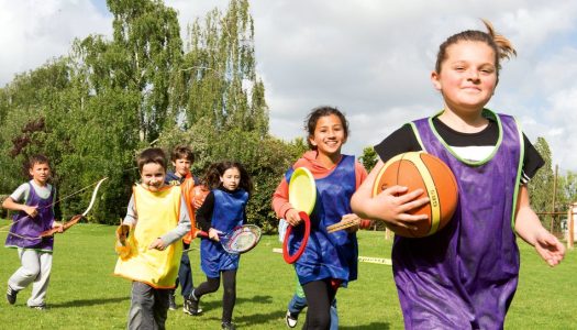 Animation Sportive départementale
