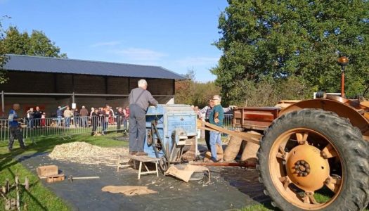 BATTAGE DES HARICOTS A L’ANCIENNE