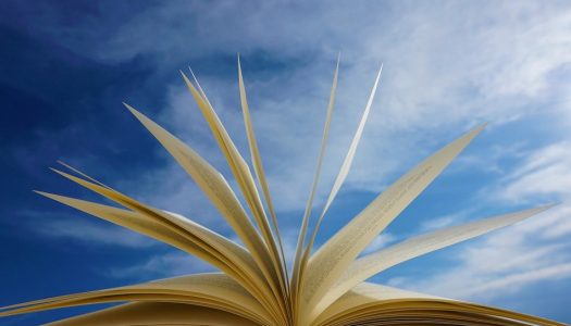 Lectures coups de coeur – La pelote de livre
