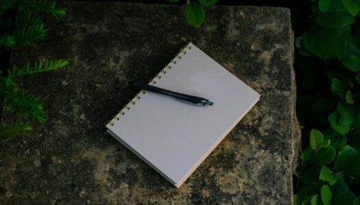 Le Ginkô ou Balade Haïku