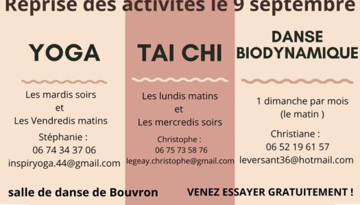 Art du Qi : une activité ressourçante !