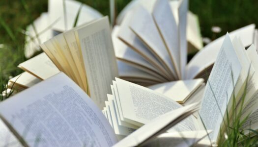 La pelote de livre – Lectures coups de coeur