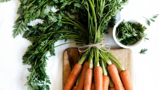 Green Apéro Atelier Cuisine