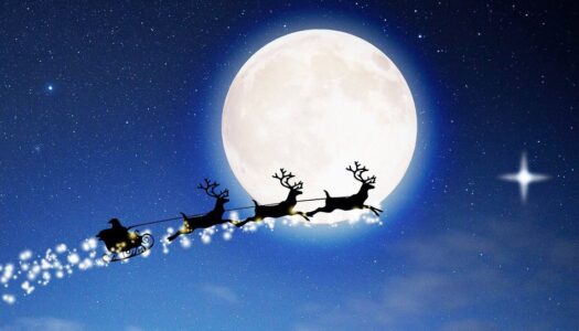 Mino’Lectures de Noël