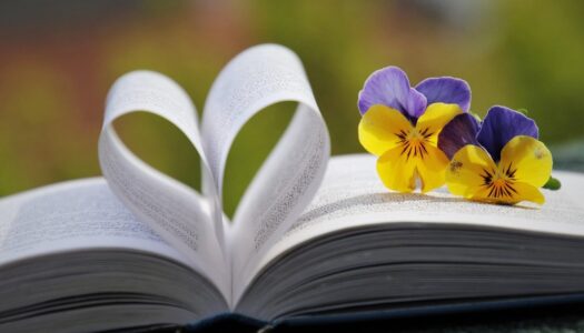 Partage coups de coeur lecture – pelote de livres