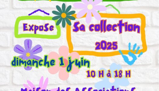 L’association Les Z’Arts expose sa collection 2025coll