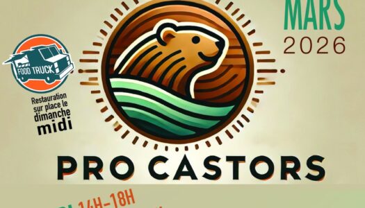 Salon des professionnels de Bouvron et alentours