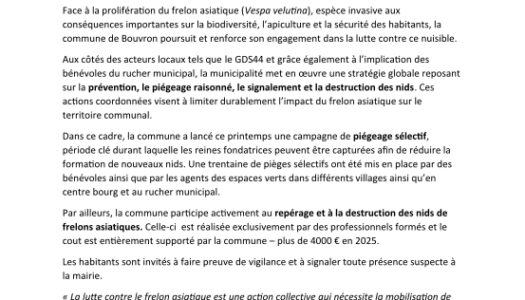 Lutte contre les frelons