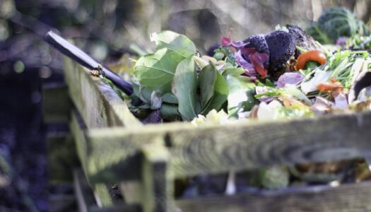 Café Compost Minotheque