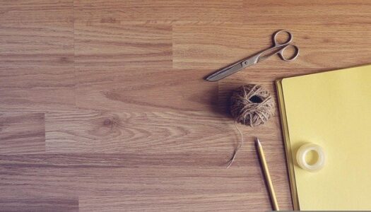 Atelier créatif parents enfants sur les oiseaux