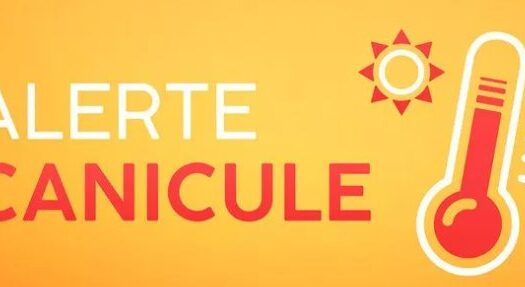𝗘𝗽𝗶𝘀𝗼𝗱𝗲 𝗱𝗲 𝗰𝗮𝗻𝗶𝗰𝘂𝗹𝗲 : 𝗺𝗶𝘀𝗲 à 𝗷𝗼𝘂𝗿 𝗱𝗲𝘀 𝗺𝗲𝘀𝘂𝗿𝗲𝘀